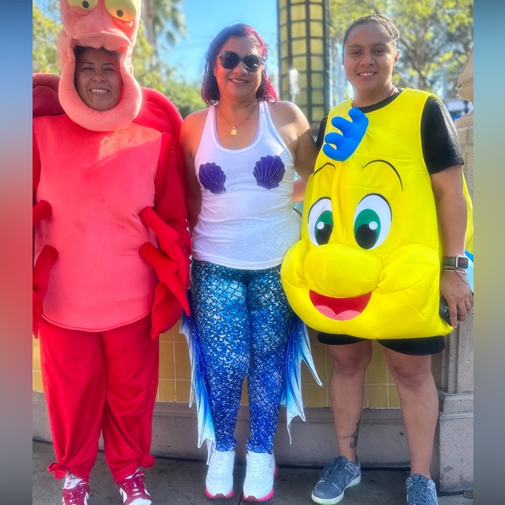 Used Adult L mermaid costume